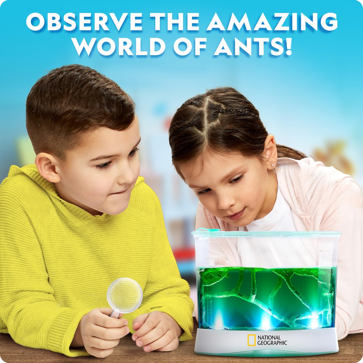 National Geographic Ant Habitat Kit – Light-Up Terrarium with Magnifiers, Tunnel Starter & Ant Activities, Educational Ant Colony Kit for Kids