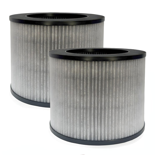 AIRx Replacement For Bissell MyAir 2801, 2-Pack