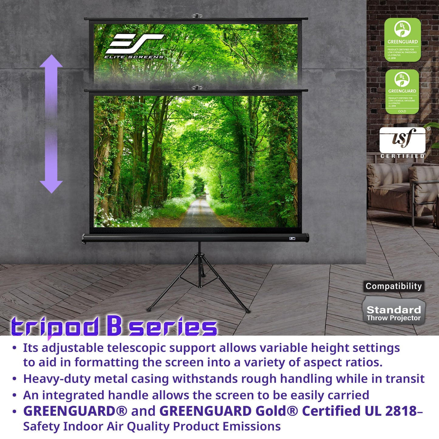 Elite Screens Tripod B, 85-INCH 1:1, Lightweight Pull Up Foldable Stand, Manual, Movie Home Theater Projector Screen, 4K / 8K Ultra HDR 3D Ready, US