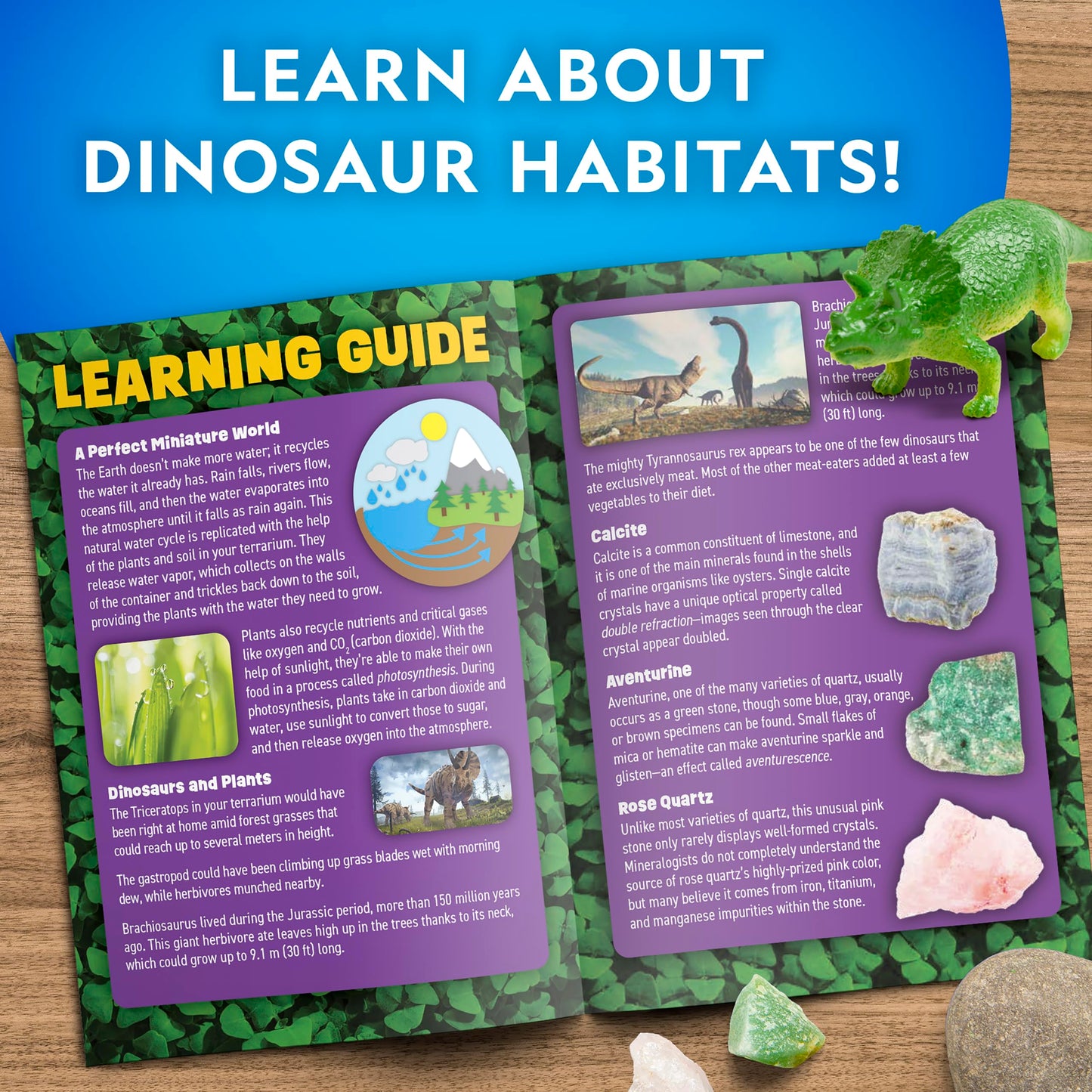 National Geographic Dinosaur Terrarium Kit – Light-Up Multicolor Dino Habitat with Real Plants, Science Kit & Educational Dinosaur Toys for Kids