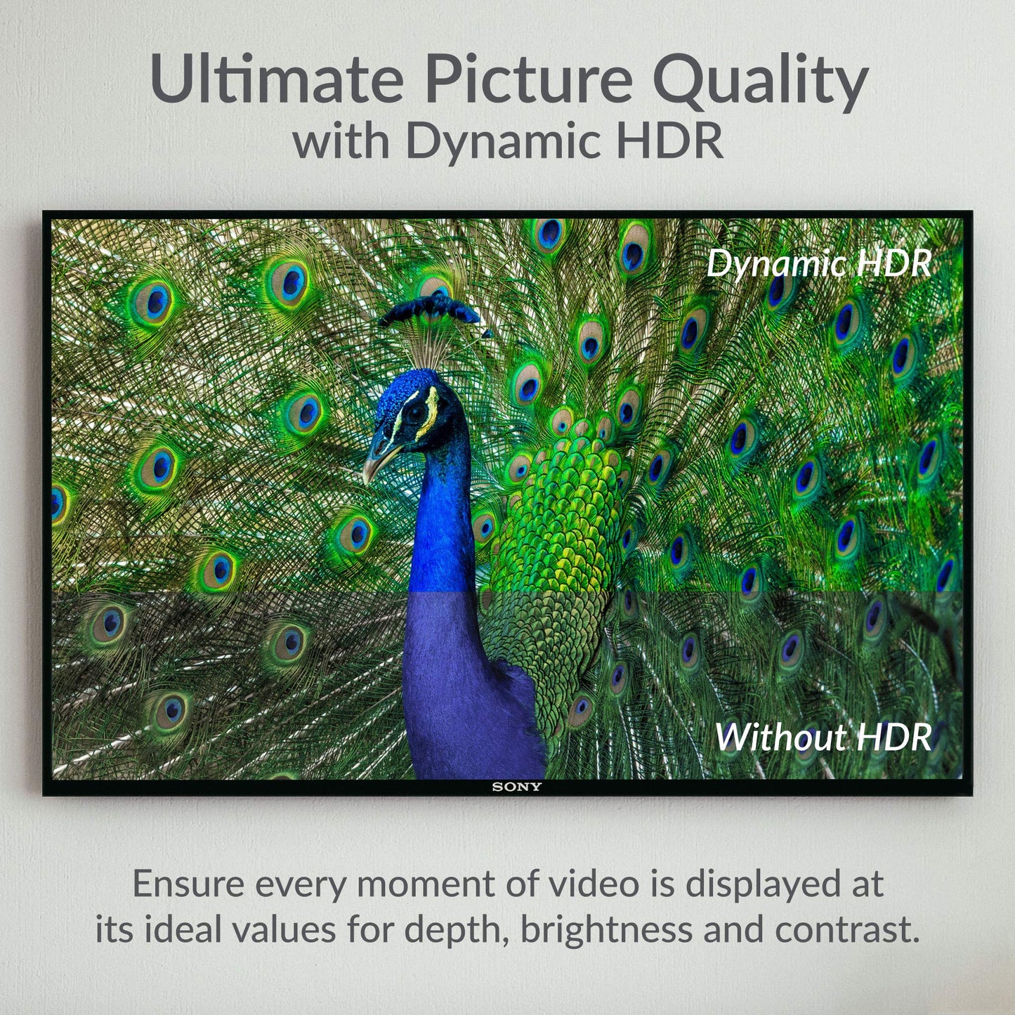 Austere 7S-8KHD1-1.5M 7-Series 1.5m aDesign 8K HDMI Cable WovenArmor (2021)