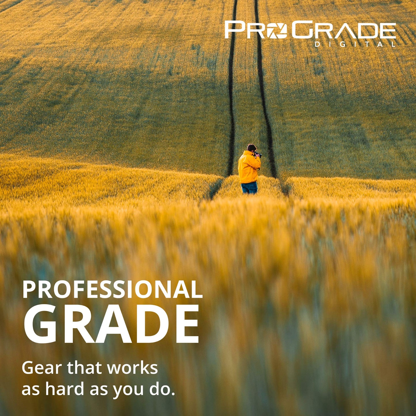CFexpress Type B and SD UHS-II Dual-Slot Memory Card Reader by ProGrade Digital | USB 3.2 Gen 2 for Professional Filmmakers, Photographers & Content