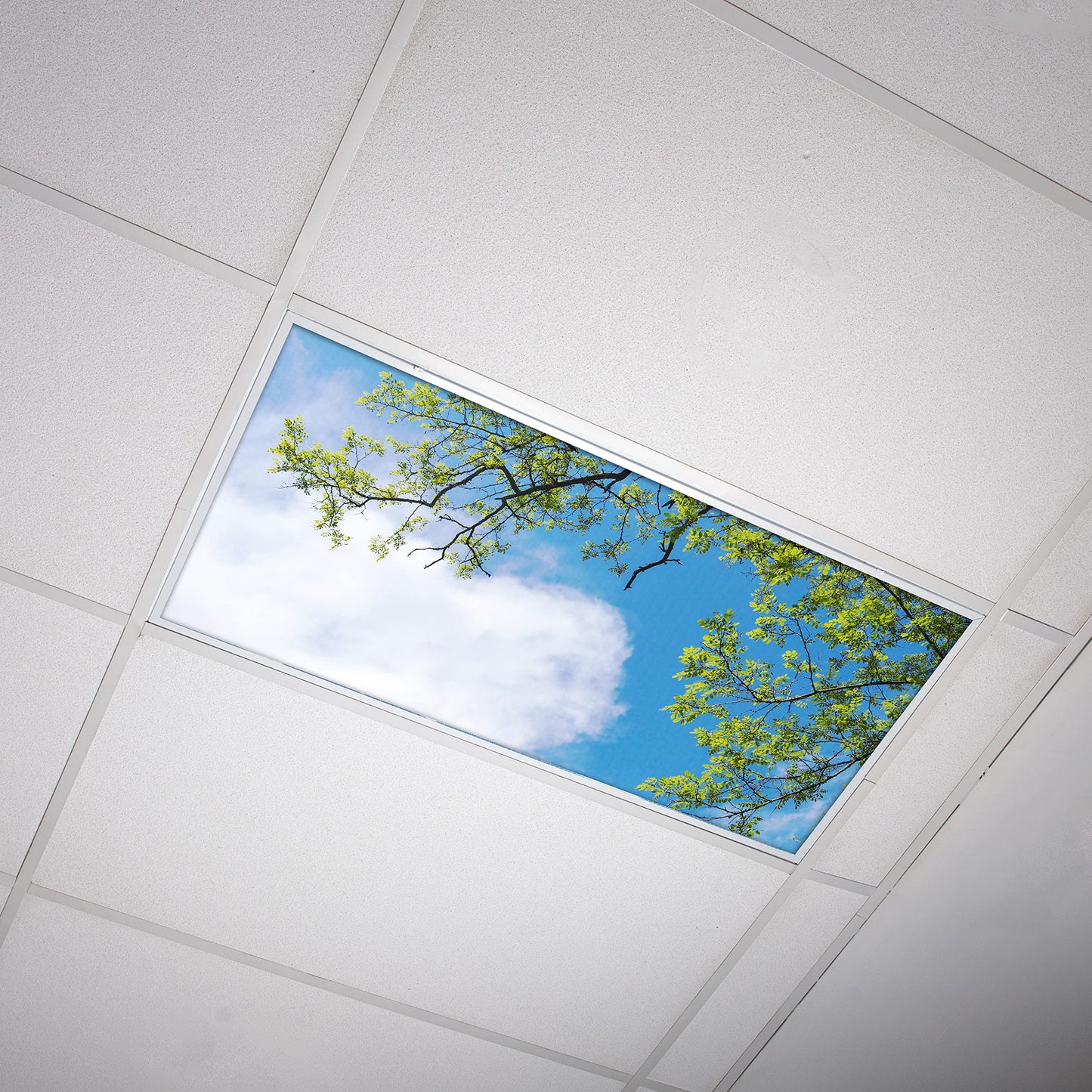 Octo Lights Tree Fluorescent Light Covers for Ceiling Lights 2x4, 1 Pack
