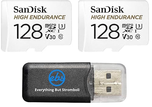 SanDisk 128GB High Endurance MicroSDXC Memory Card (2 Pack) for Garmin Dash Cam 57, 67W, Mini 2, 47 Series (SDSQQNR-128G-GN6IA) Class 10 Bundle