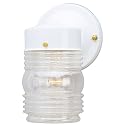 Westinghouse 6687800 Westinghouse #66878 White Jelly Jar Fixture, No Size